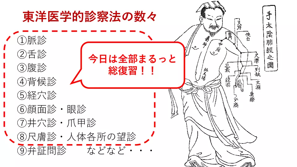 東洋医学へのいざない 診察編⑨ これまでにやった診察法の総まとめ